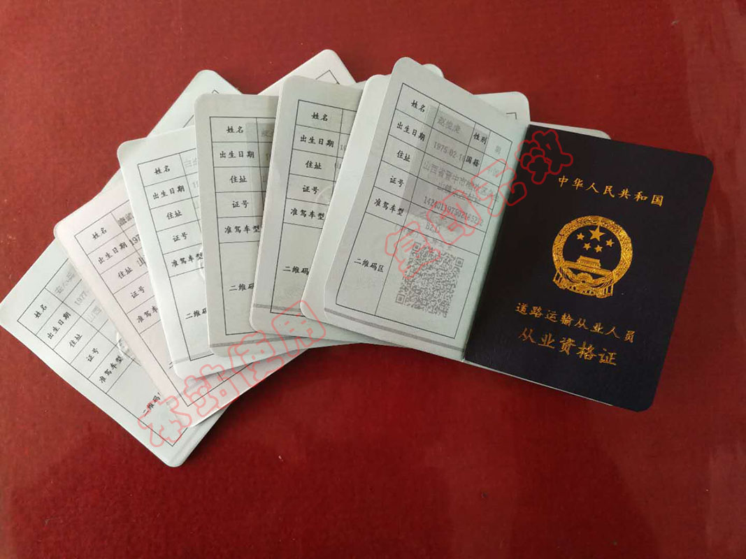 駕駛?cè)藛T從業(yè)資格證A1